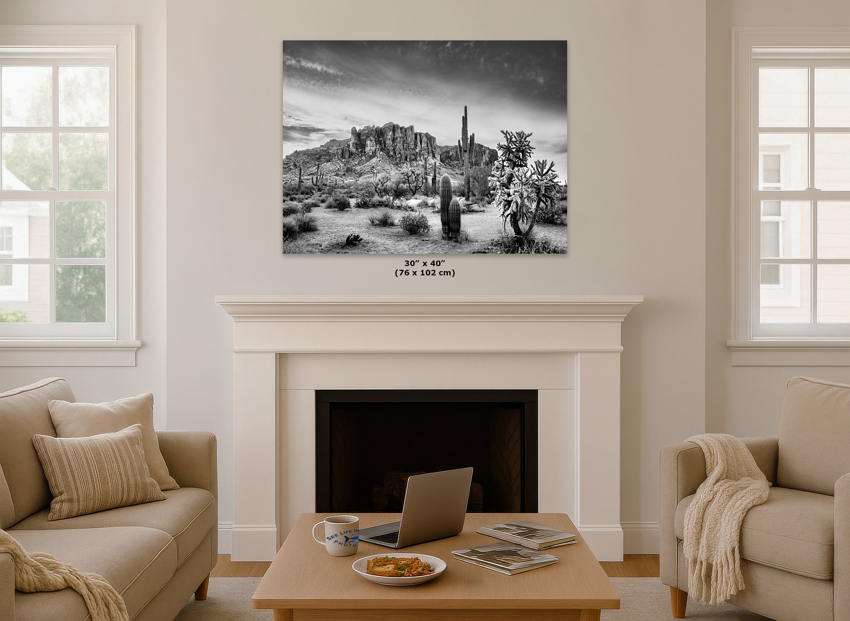 Arizona Desert Picture in Black and White, Saguaro Cactus Artwork Nature Photo, Southwestern Wall Art of Superstition Mountains at Lost Dutchman State Park