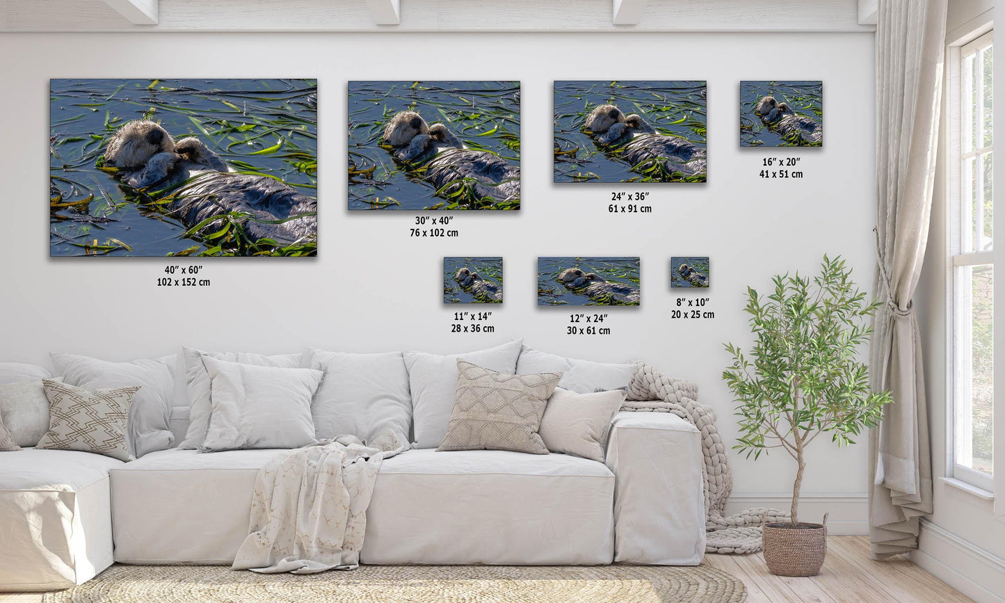 Enchanting Sea Otter Print: California Coast Wildlife Photography for Home Decor (Paper/Canvas/Metal)