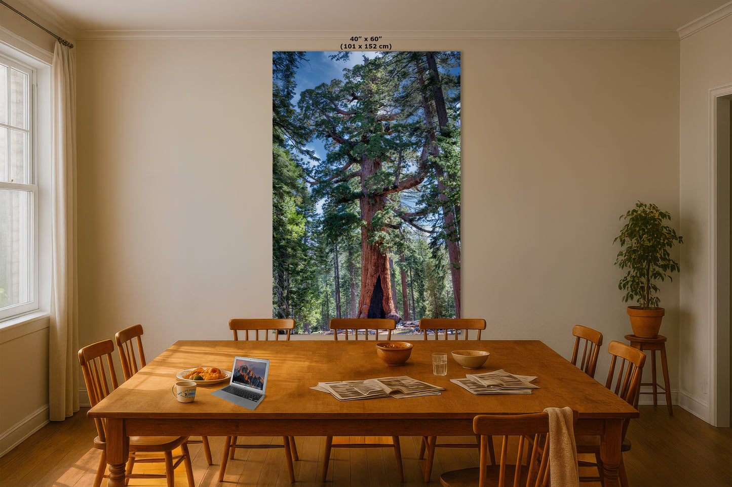 Giant Sequoia Tree Forest Picture Nature Photo, Yosemite Redwood Trees, Mariposa Grove Tree Hugger Decor, Forest Bathing for Relaxation