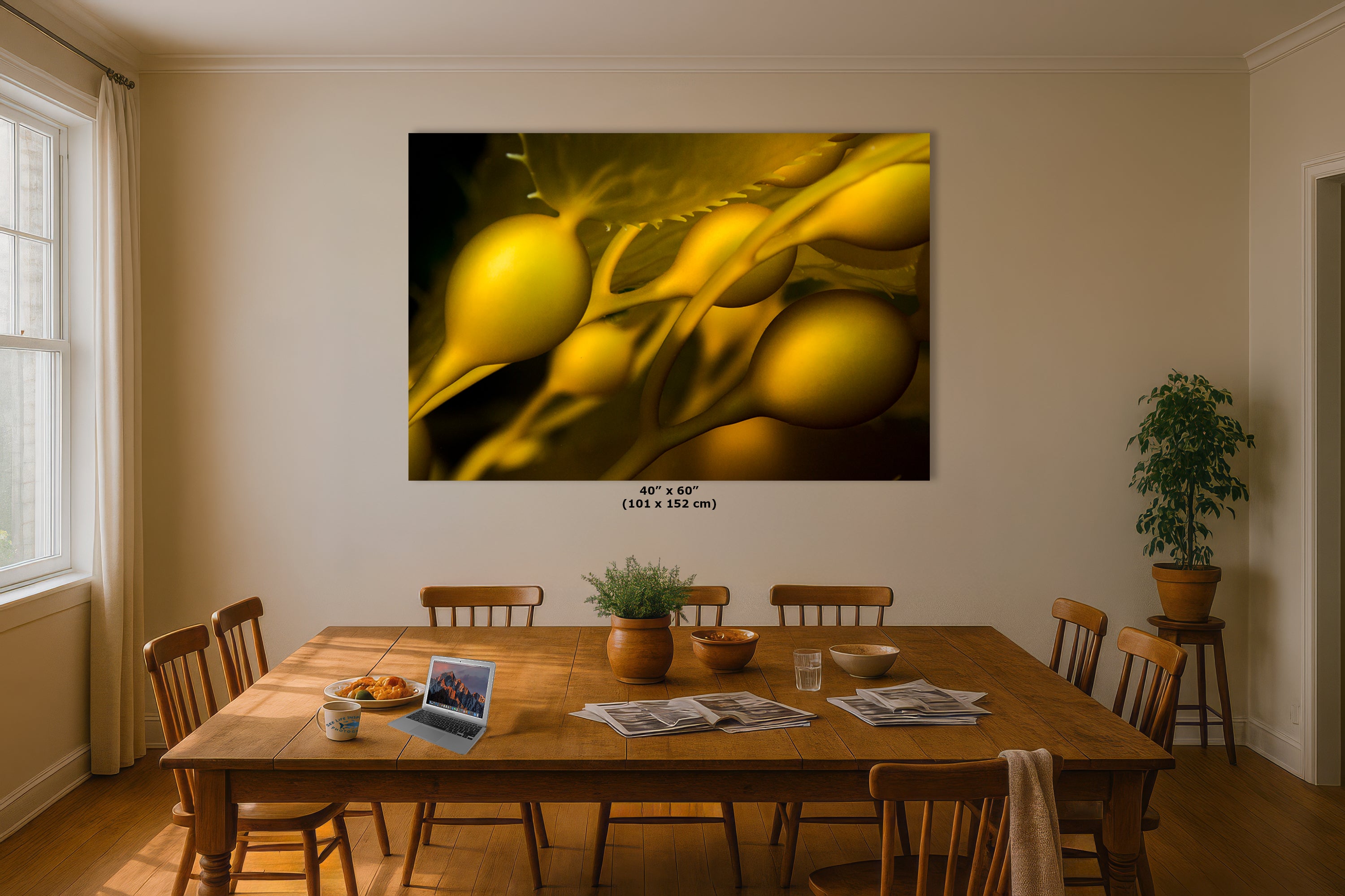 Kelp Forest Seaweed Pictures Underwater Scenery, Ocean Life Marine Biology Nature Photo Relaxation Artwork Decor for Office Dorm Room Decor