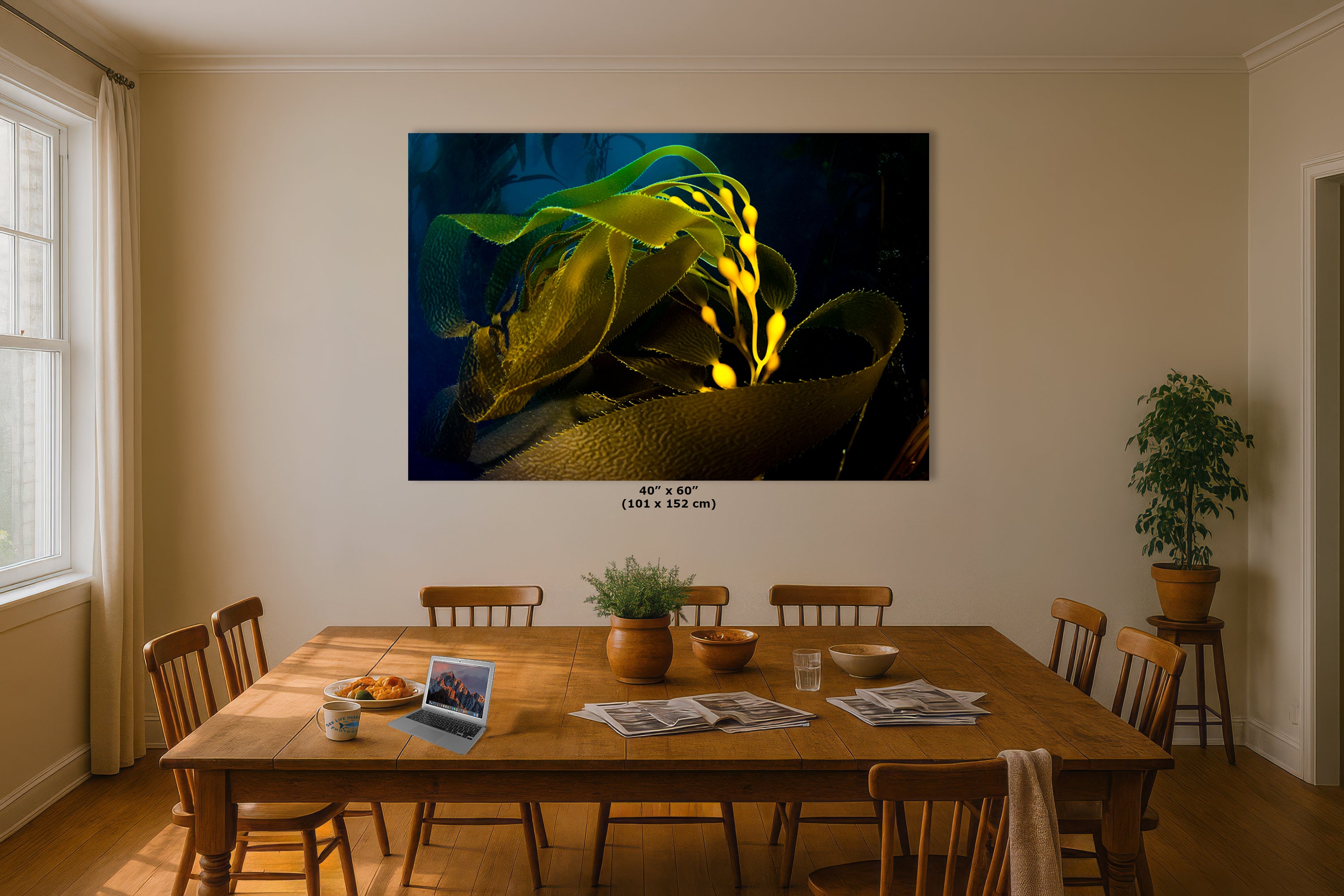 Kelp forest seaweed pictures underwater scenery, ocean life marine biology art, relaxation decor, ocean lover gift, deep sea nature photo