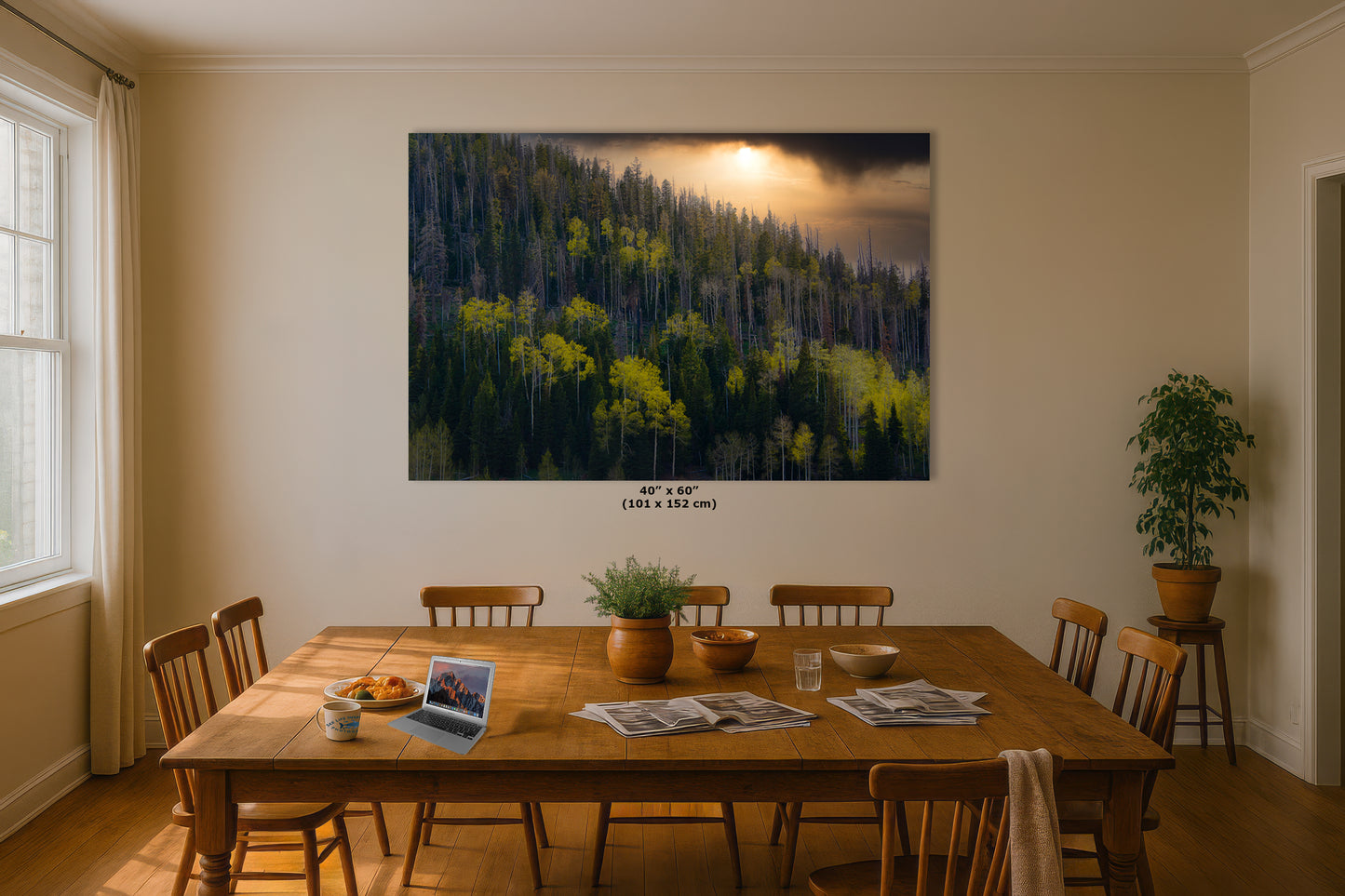 Aspen Tree Forest Picture Nature Photo, Forest Bathing Relaxation Artwork Dopamine Decor for Meditation, Bedroom, Living Room, and Office