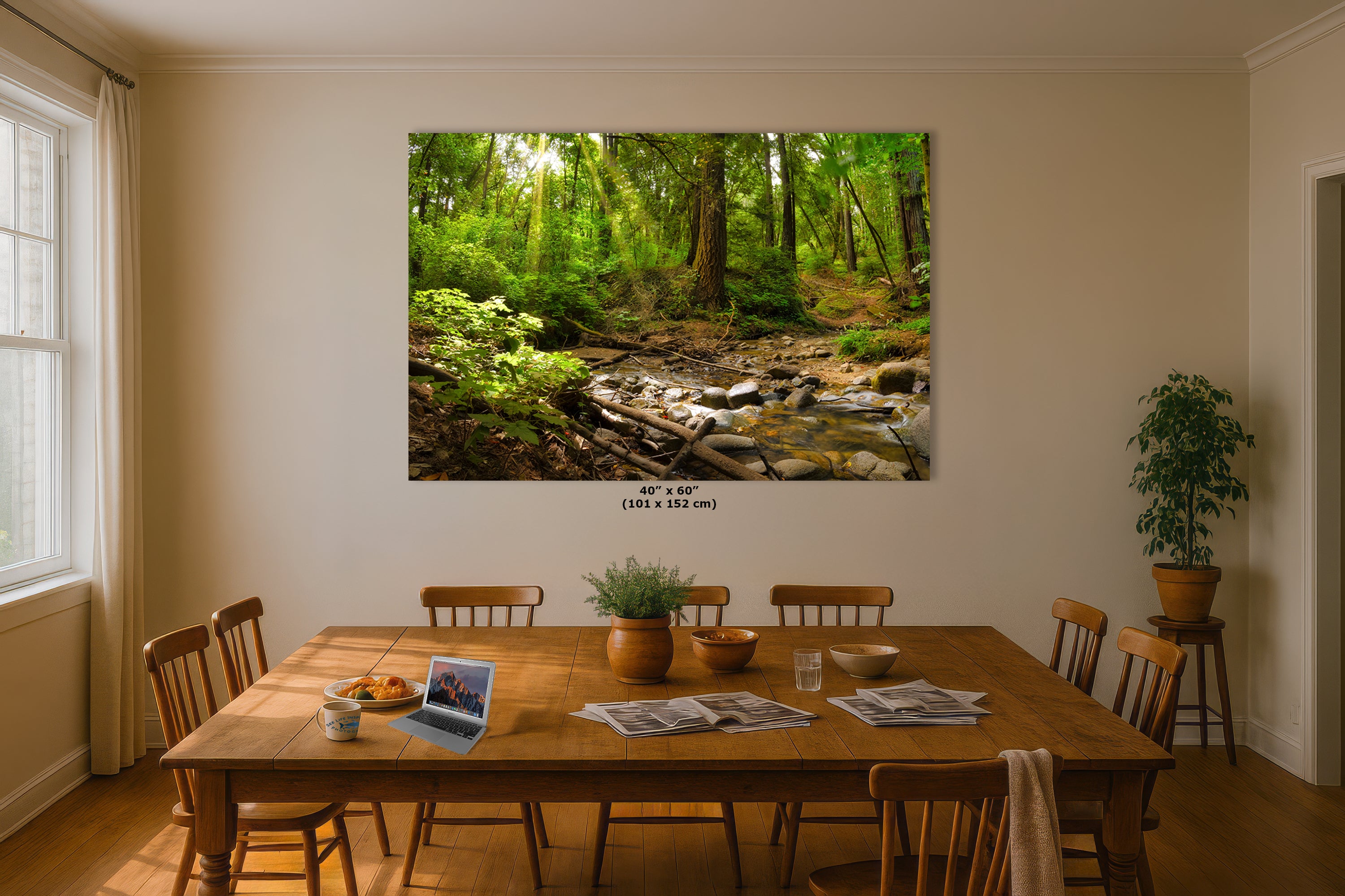 Redwood Trees Forest Picture Nature Photo, Forest Bathing in Santa Cruz California Coast Wall Art, Relaxing Artwork for House Decor & Office