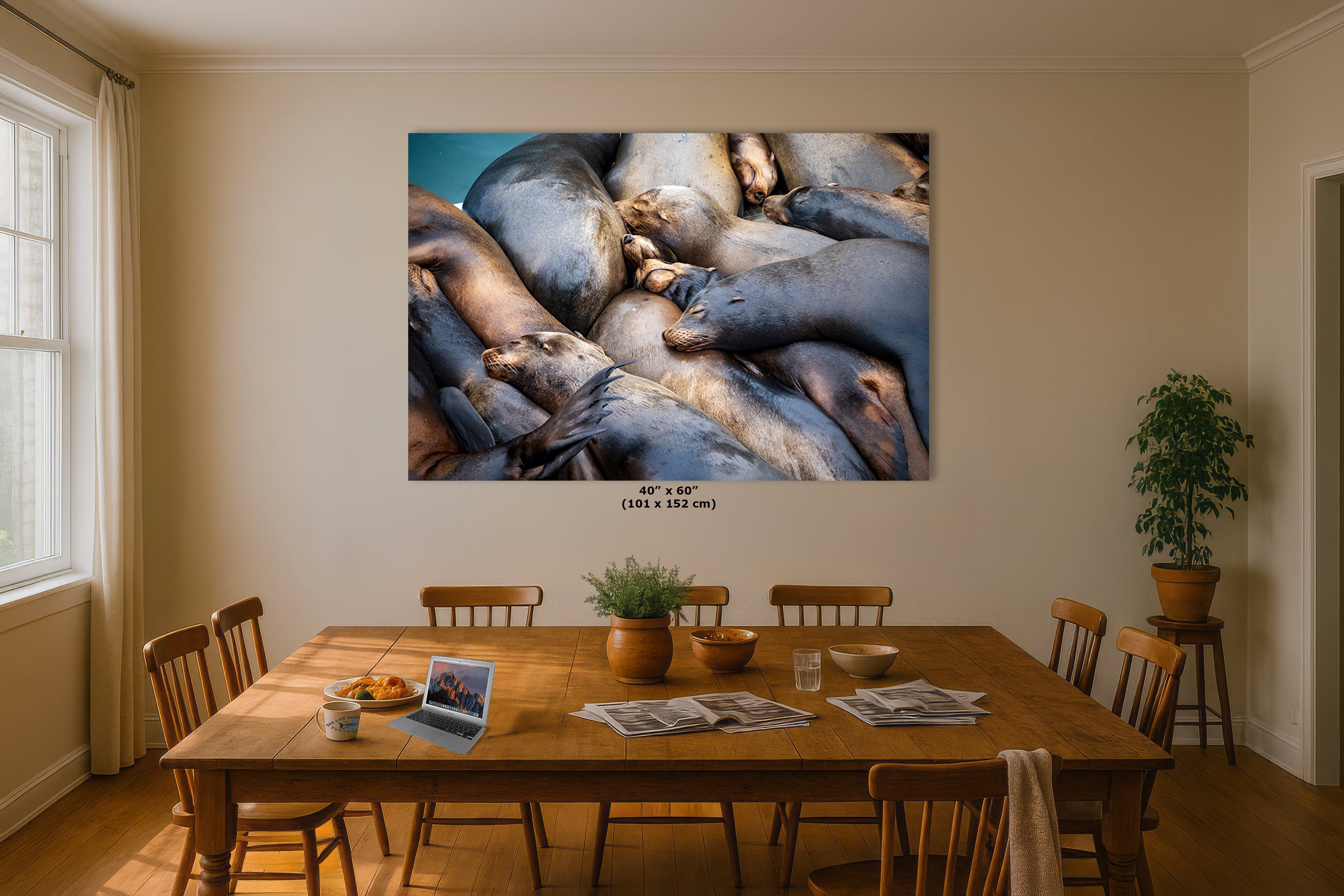 California Sea Lion Marine Mammal Wildlife Photography Wall Art - Ocean Animals Nursery Decor Coastal Home Artwork, Marine Biology Print