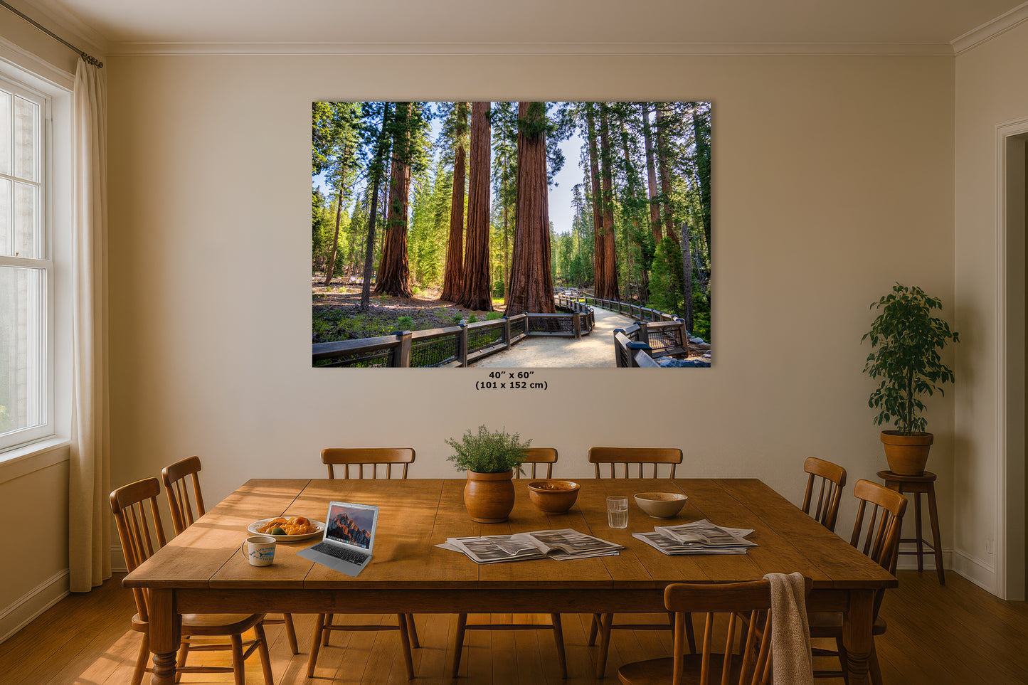Giant Sequoia Tree Forest Picture Nature Photo | Yosemite Redwood Trees for Nature Lovers & Forest Bathing Relaxation, Meditation Artwork