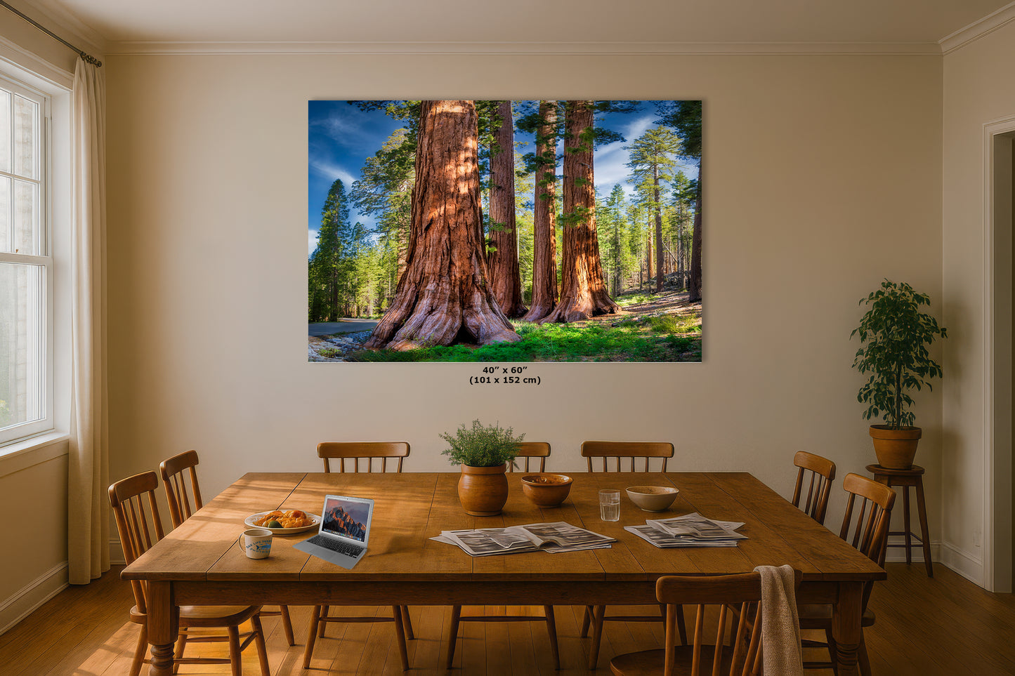 Giant Sequoia Tree Forest Picture Nature Photo, Redwood Trees Forest Bathing for Relaxation and Meditation in Living Room and Office