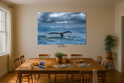Humpback Whale Marine Mammal Wildlife Photography | Monterey Bay Ocean Scene Art Print for Nature Lovers and Marine Conservation Decor