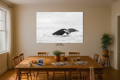 Humpback Whale Marine Mammal Wildlife Photography, Black and White, Monterey Bay Ocean Scene Art Print for Nature Lovers and Marine Conservation Decor