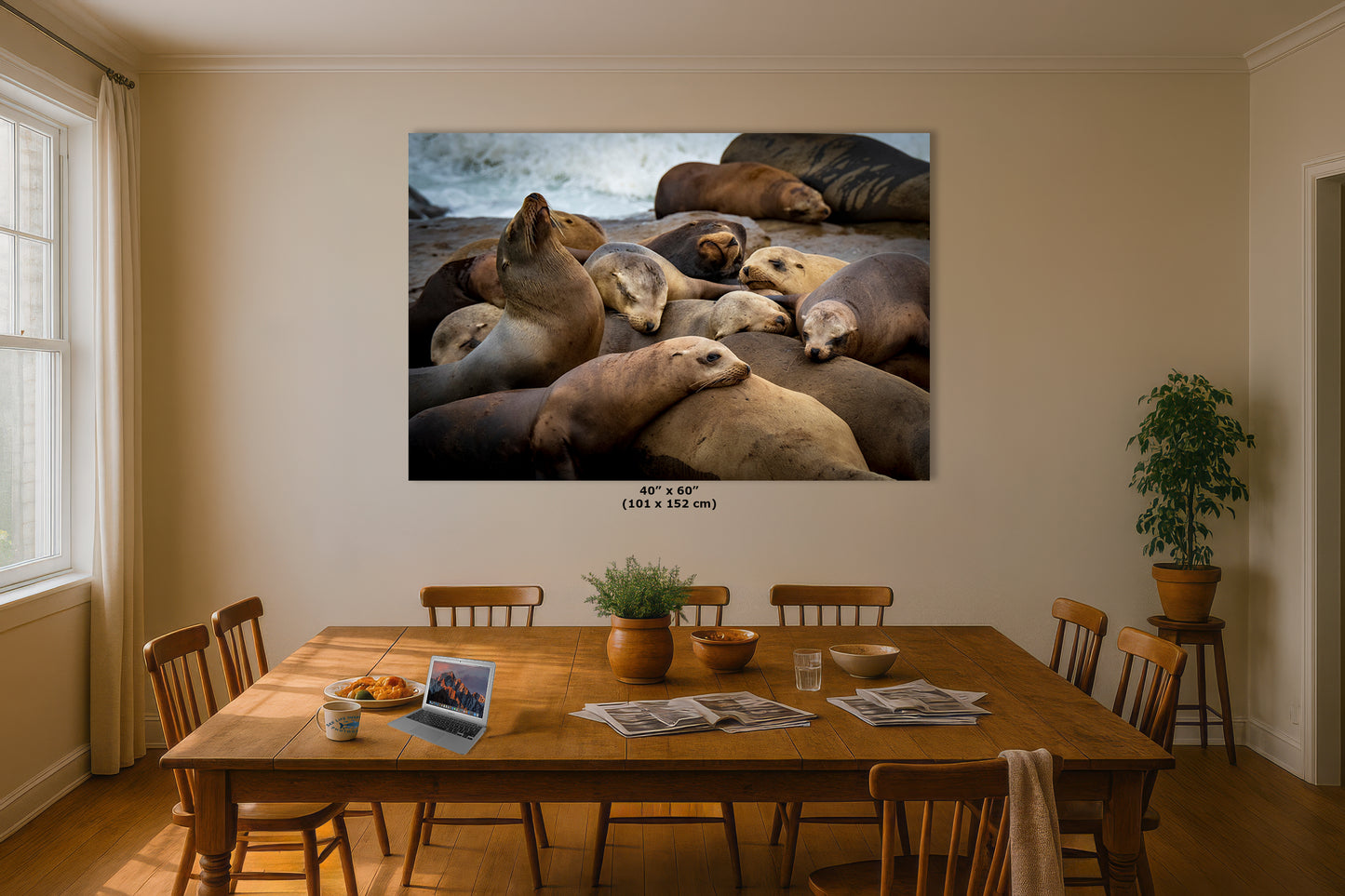 California Sea Lion Marine Mammal Wildlife Photography, Ocean Animals Wall Art, Nature Lover Gift, Marine Biology Artwork