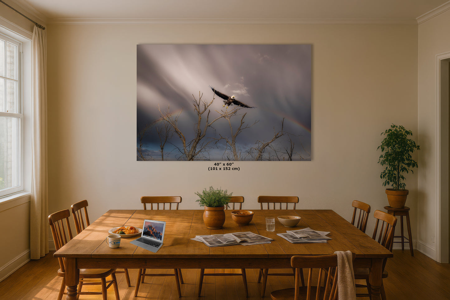 Soaring Bald Eagle Picture Wildlife Photography Wall Art, Nature Photo, Bird Photography, Rustic Cabin Decor, Office or Dorm Room Wall Decor