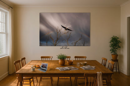 Soaring Bald Eagle Picture Wildlife Photography Wall Art, Nature Photo, Bird Photography, Rustic Cabin Decor, Office or Dorm Room Wall Decor