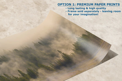 a photo of a foggy forest on a paper