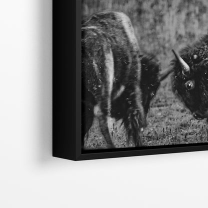 Buffalo Artwork Wildlife Photography, Black and White Bison Wall Decor, Rustic Cabin Animal Print, Nature Wall Art for Home or Office