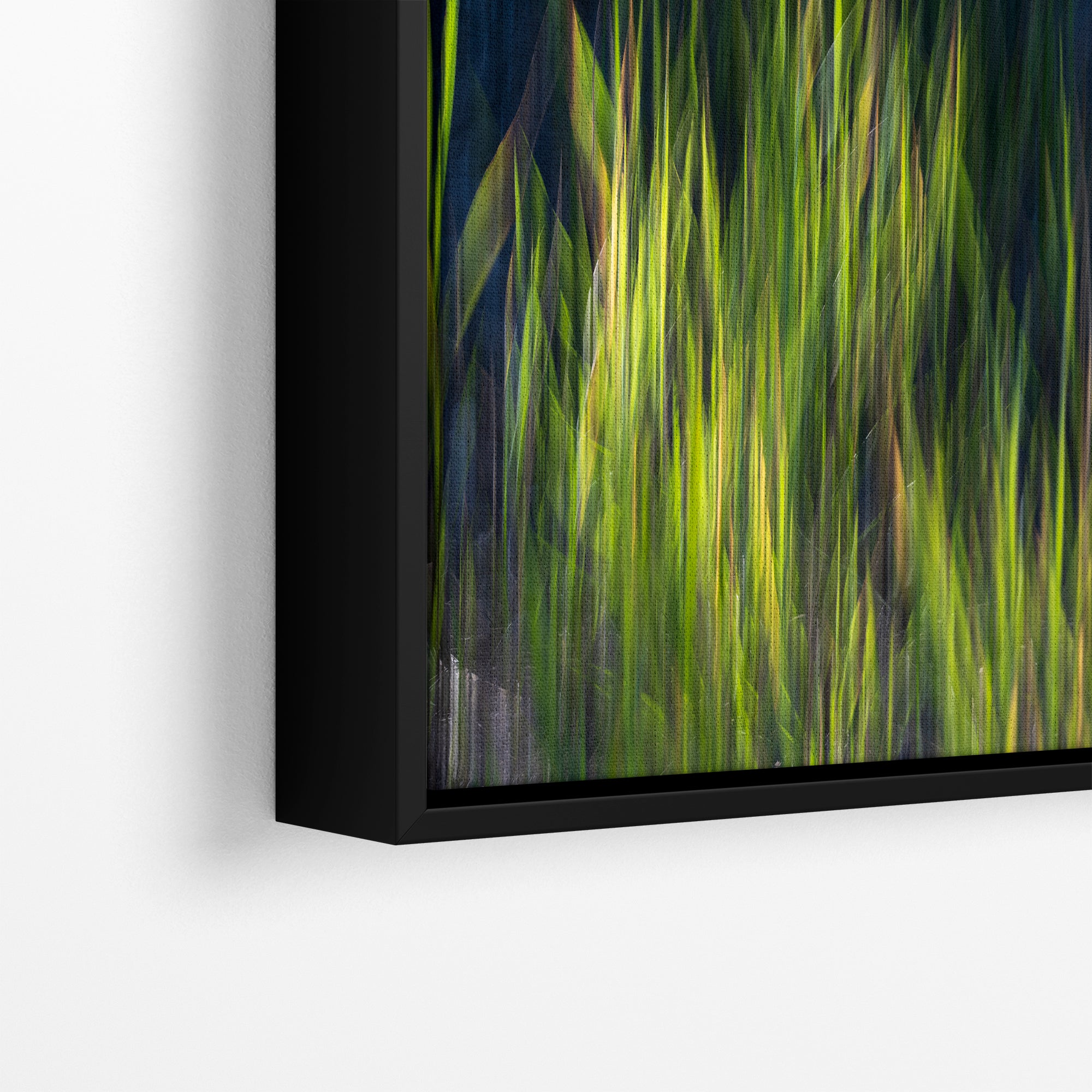 Sage Green Abstract Art Nature Photo