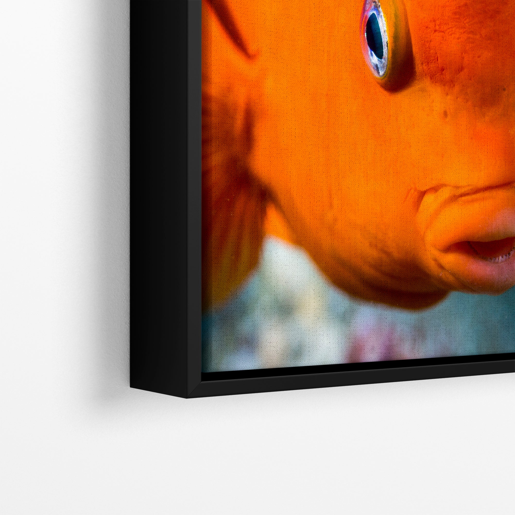 Garibaldi Fish Marine Biology Ocean Life, Underwater Scenery Nature Photo, California Marine Inhabitant, Nature Decor, Relaxation Artwork