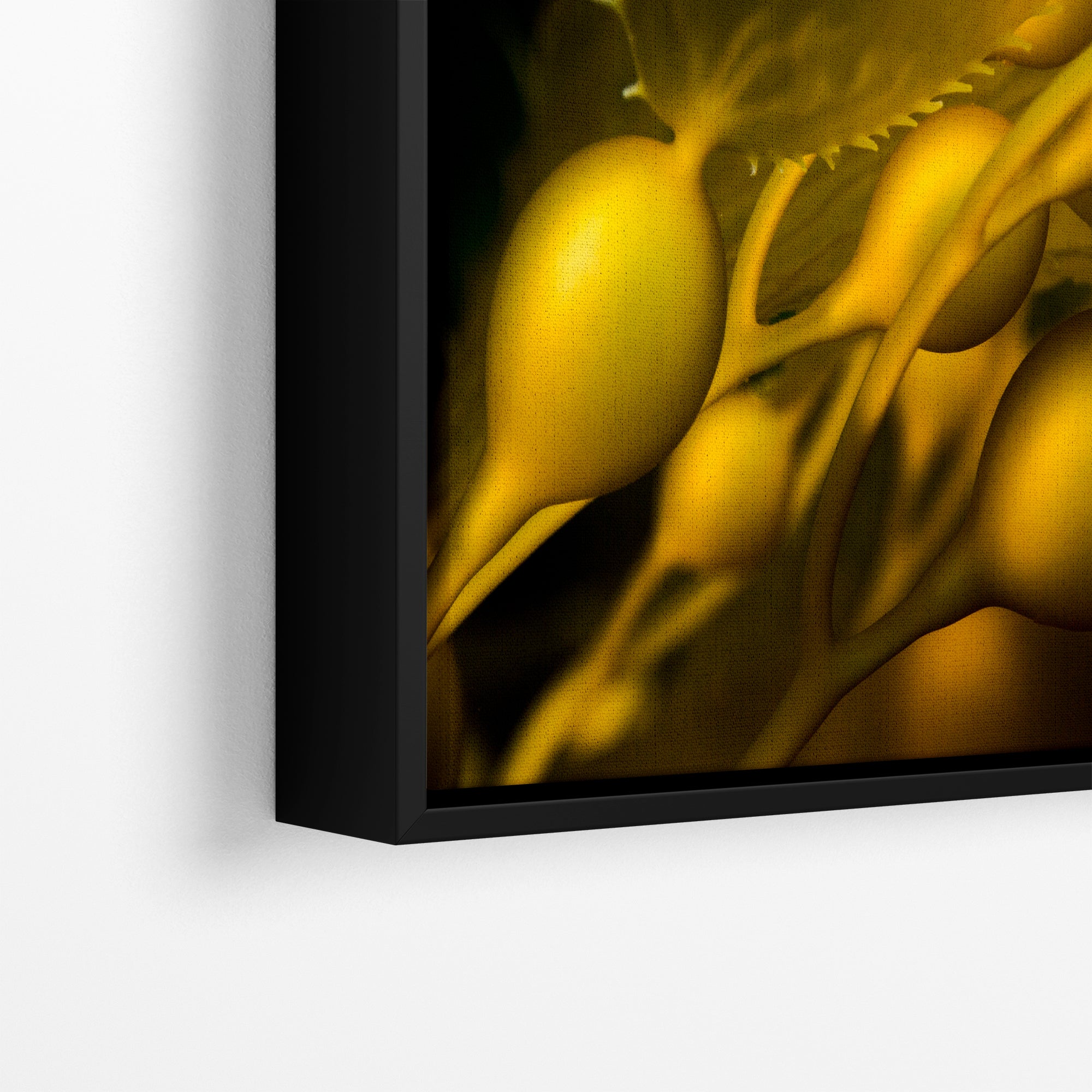 Kelp Forest Seaweed Pictures Underwater Scenery, Ocean Life Marine Biology Nature Photo Relaxation Artwork Decor for Office Dorm Room Decor