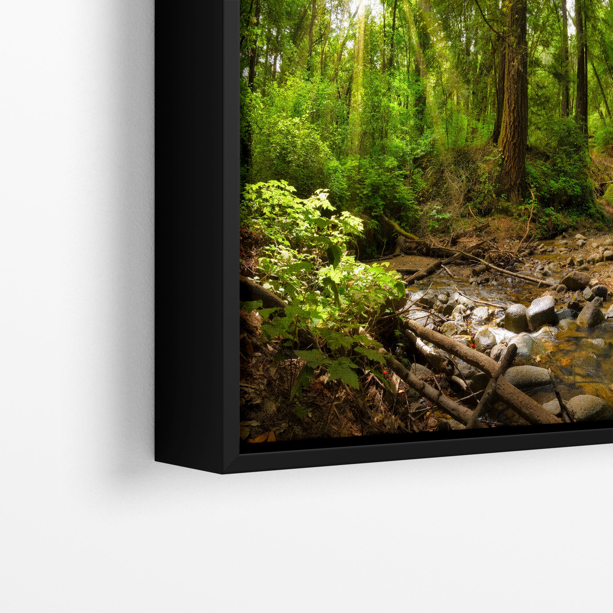 Redwood Trees Forest Picture Nature Photo, Forest Bathing in Santa Cruz California Coast Wall Art, Relaxing Artwork for House Decor & Office