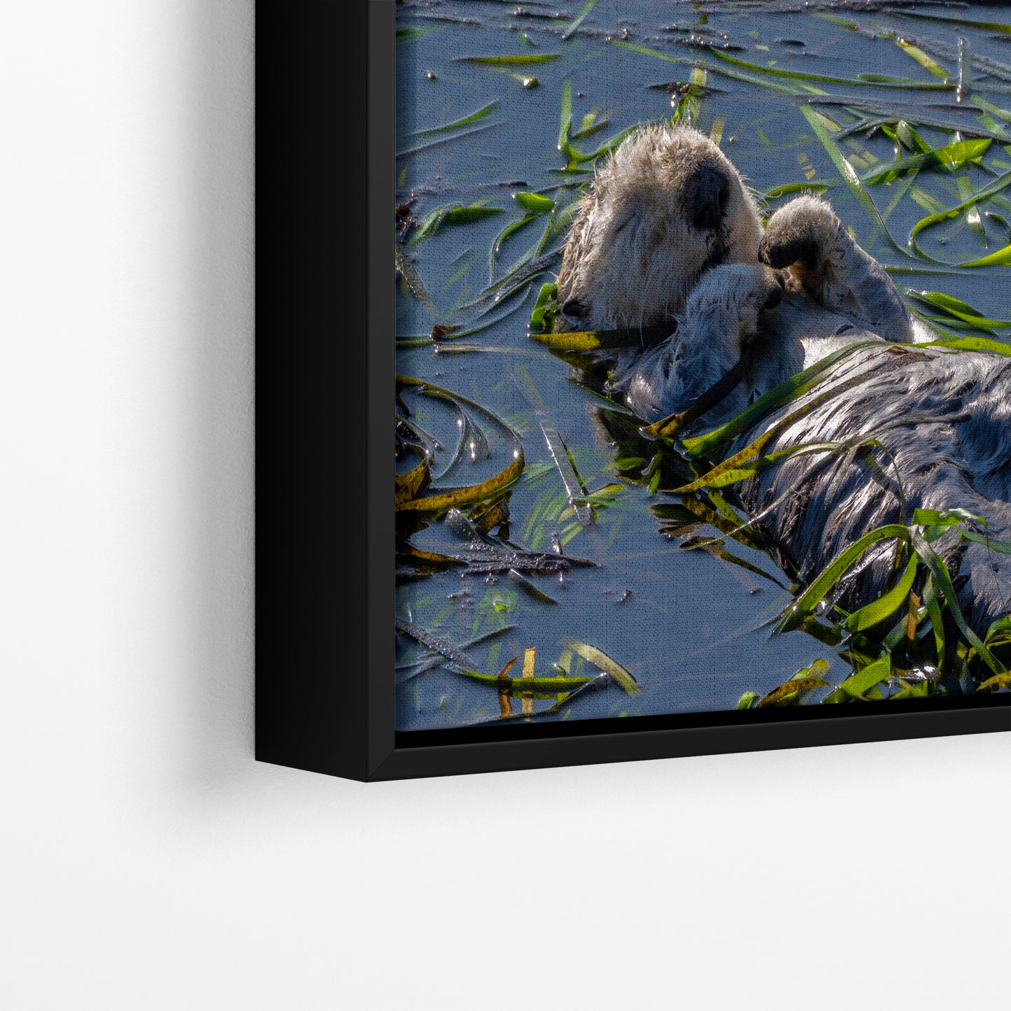 Sea Otter Picture Marine Mammal Wildlife Photography, Relaxing Nature Art Print, Ocean Scene, Dorm Room Decor, Animal Photography