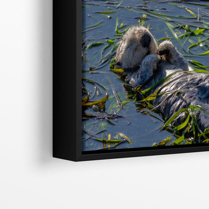 Sea Otter Picture Marine Mammal Wildlife Photography, Relaxing Nature Art Print, Ocean Scene, Dorm Room Decor, Animal Photography