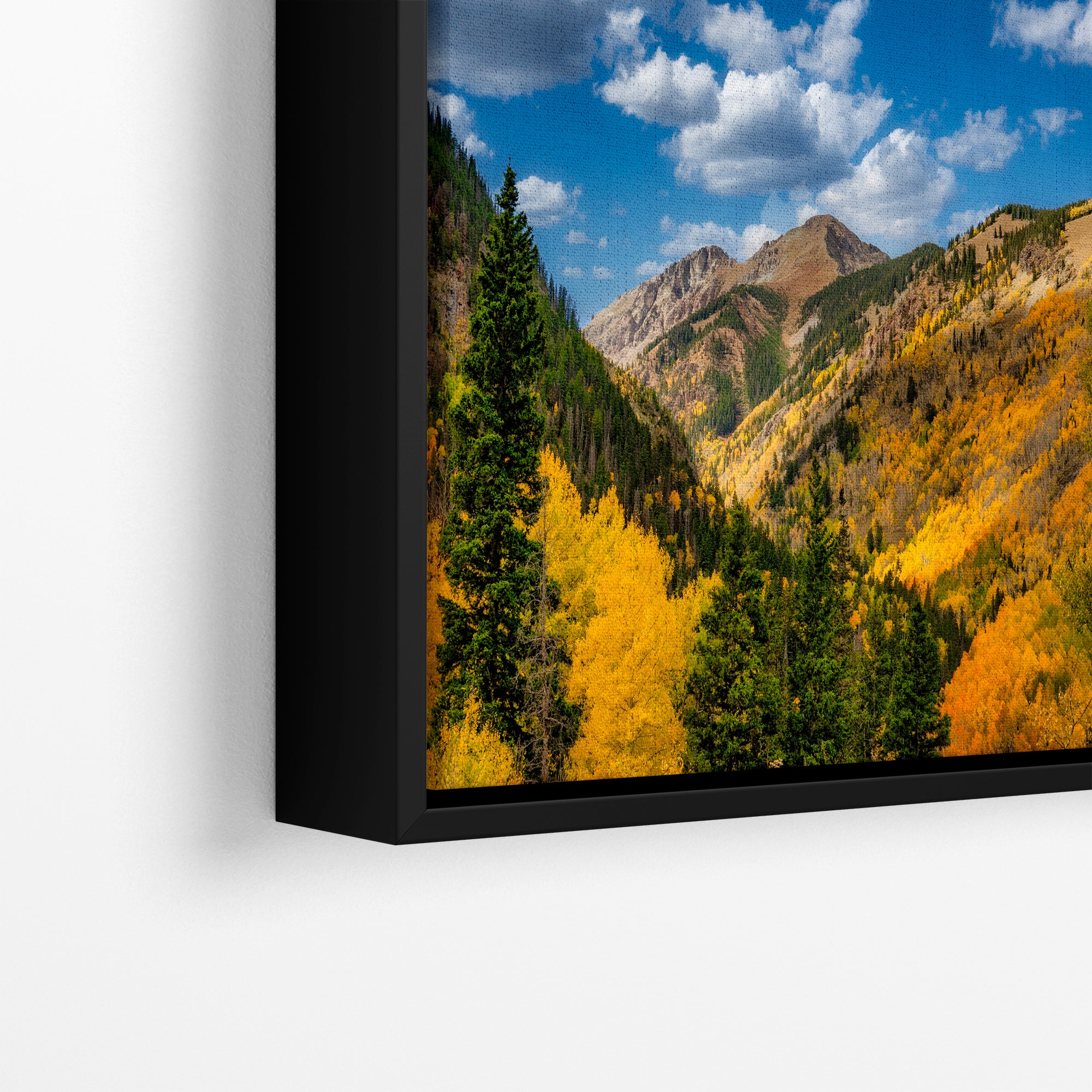 Colorado San Juan Mountains Picture, Fall Colors Nature Photo of Aspen Trees  for Relaxation Meditation and Home Decor