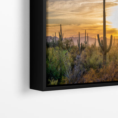 Saguaro National Park Arizona Desert Picture Sunset Nature Photo, Bohemian Style Relaxation Artwork, Southwestern Sonoran Desert House Decor