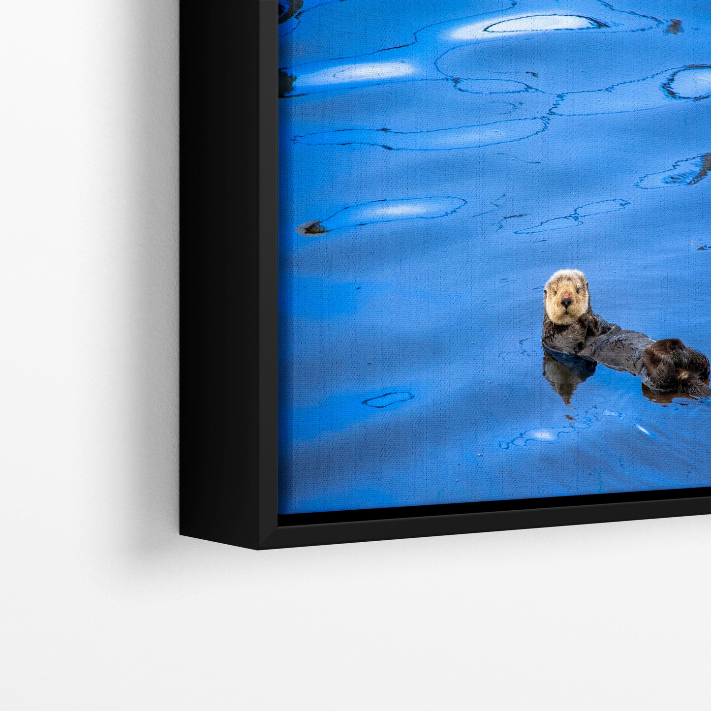 Sea Otter Picture Marine Mammal Wildlife Photography, Ocean Wall Art, Dorm Room Decor, Relaxation Artwork, Cubicle Desk Decor