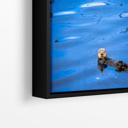 Sea Otter Picture Marine Mammal Wildlife Photography, Ocean Wall Art, Dorm Room Decor, Relaxation Artwork, Cubicle Desk Decor