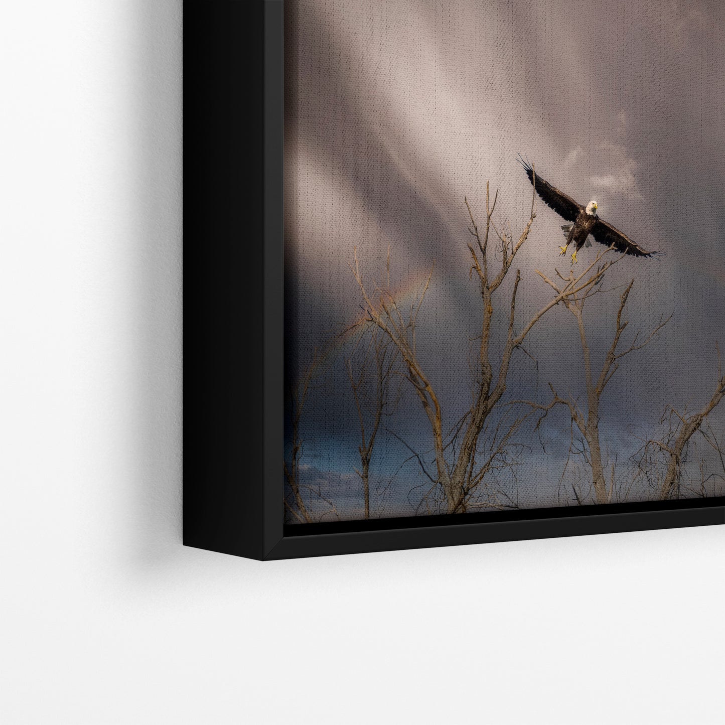 Soaring Bald Eagle Picture Wildlife Photography Wall Art, Nature Photo, Bird Photography, Rustic Cabin Decor, Office or Dorm Room Wall Decor
