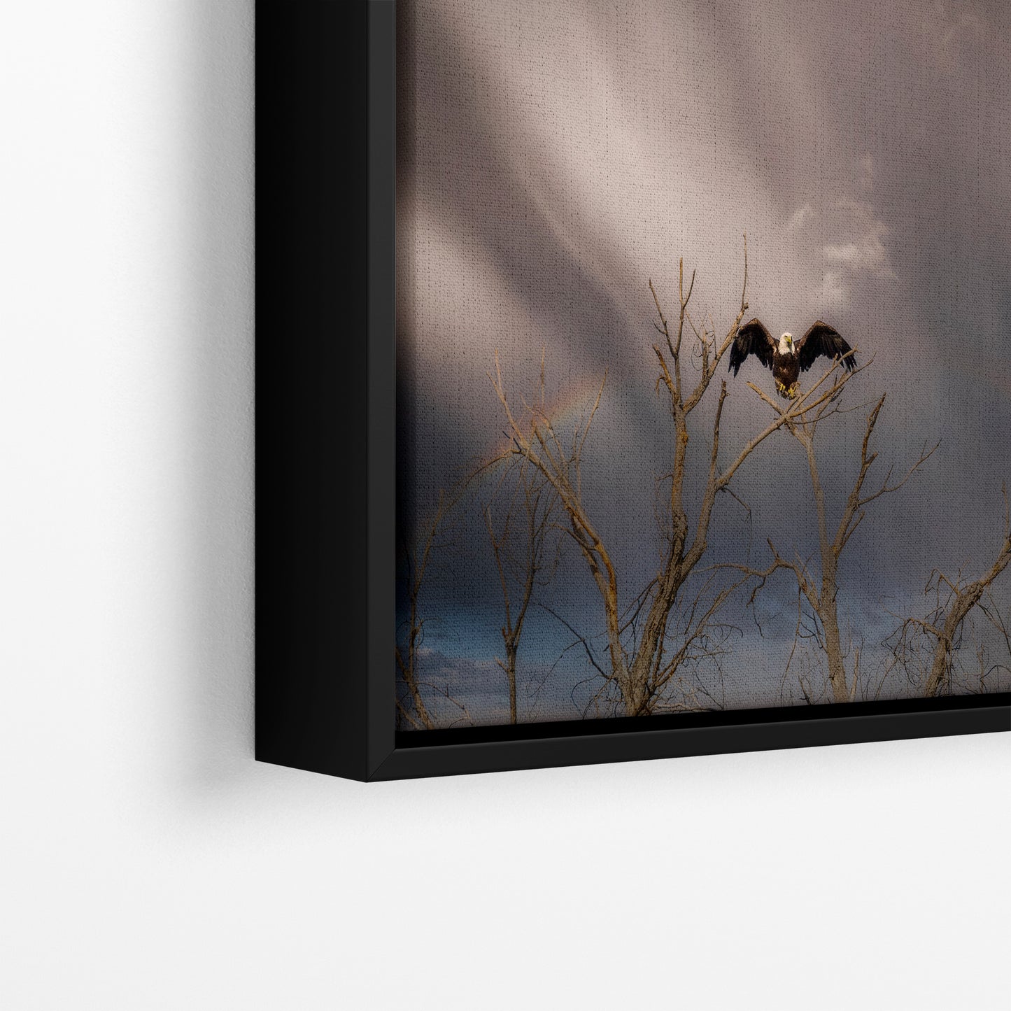 Bald Eagle Picture Wildlife Photography Wall Art, Nature Photo, Bird Photography, Rustic Cabin Decor, Office or Dorm Room Wall Decor