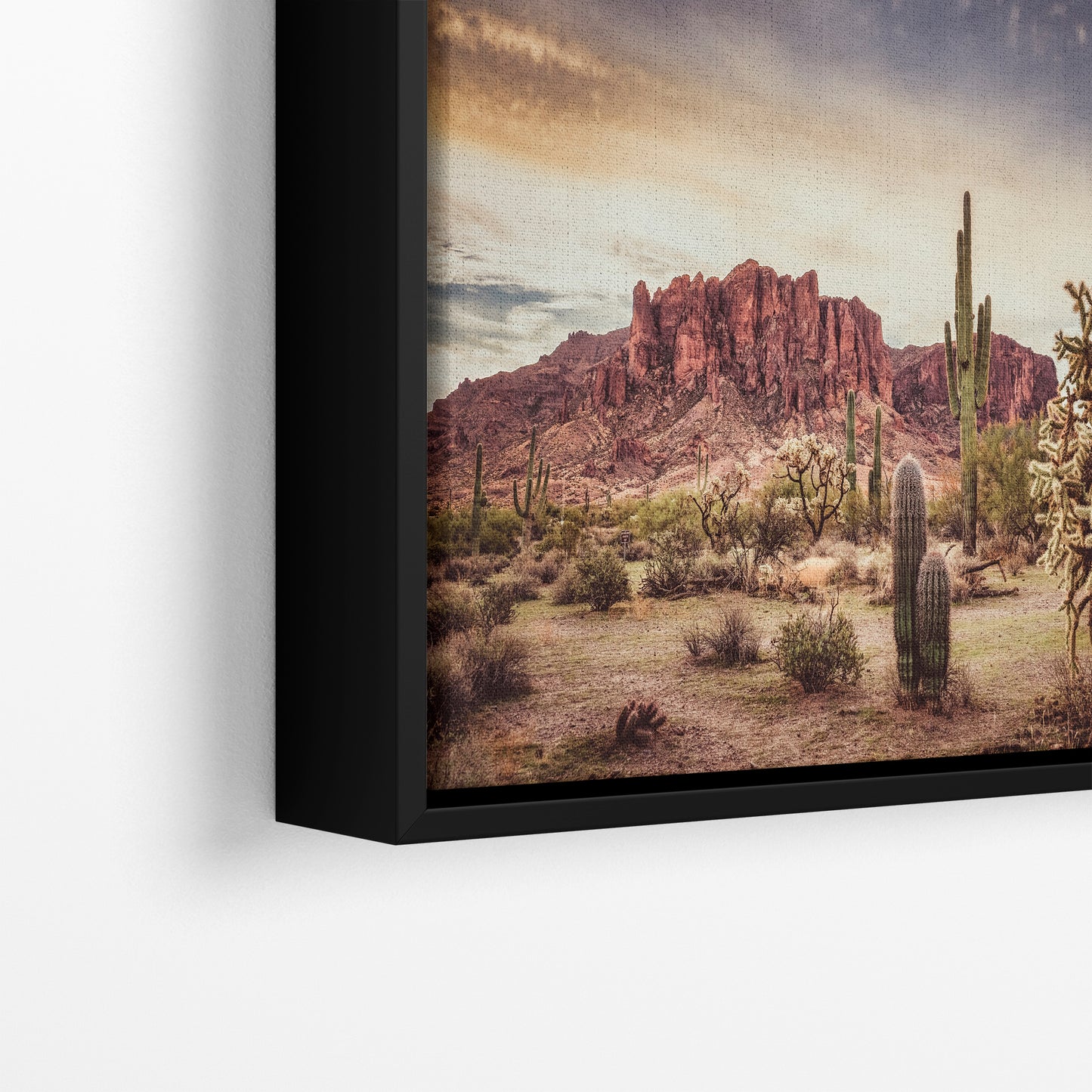Arizona Desert Picture, Vintage Saguaro Cactus Artwork Nature Photo, Southwestern Wall Art of Superstition Mountains at Lost Dutchman State Park