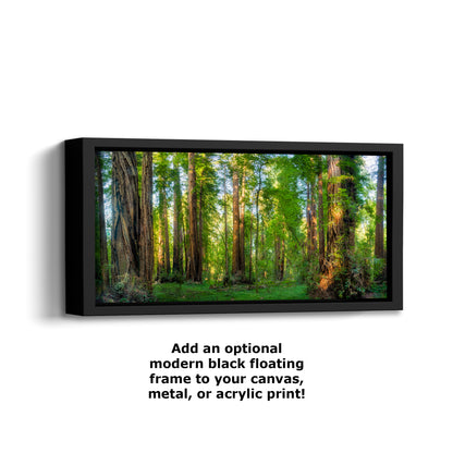 Redwood Trees Forest Picture Nature Photo, Forest Bathing Relaxation Artwork for Calming Meditation, Office and House Decor