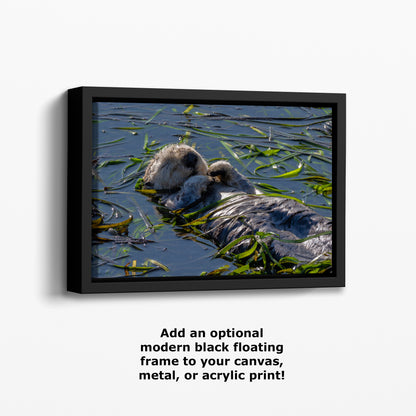 Sea Otter Picture Marine Mammal Wildlife Photography, Relaxing Nature Art Print, Ocean Scene, Dorm Room Decor, Animal Photography