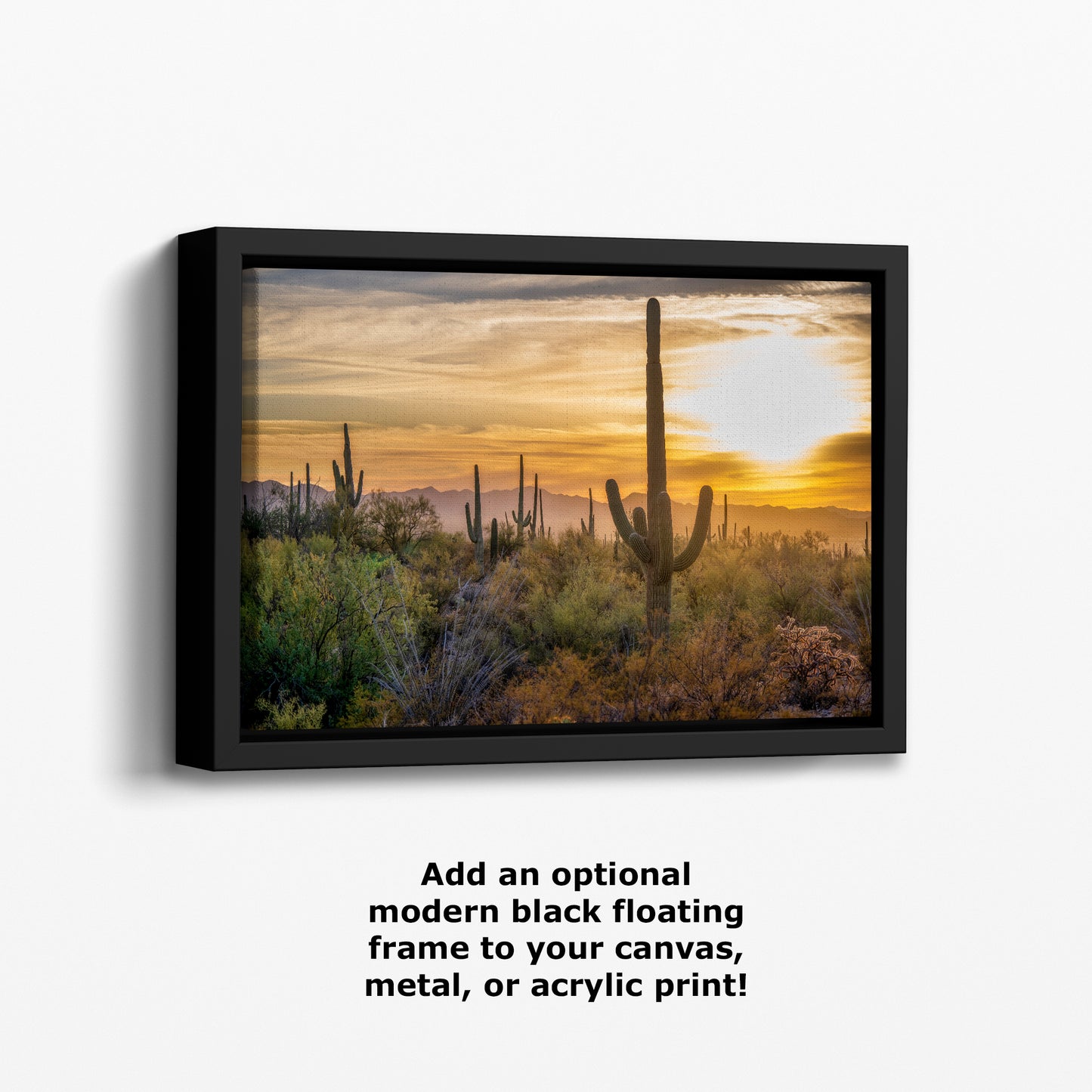 Saguaro National Park Arizona Desert Picture Sunset Nature Photo, Bohemian Style Relaxation Artwork, Southwestern Sonoran Desert House Decor