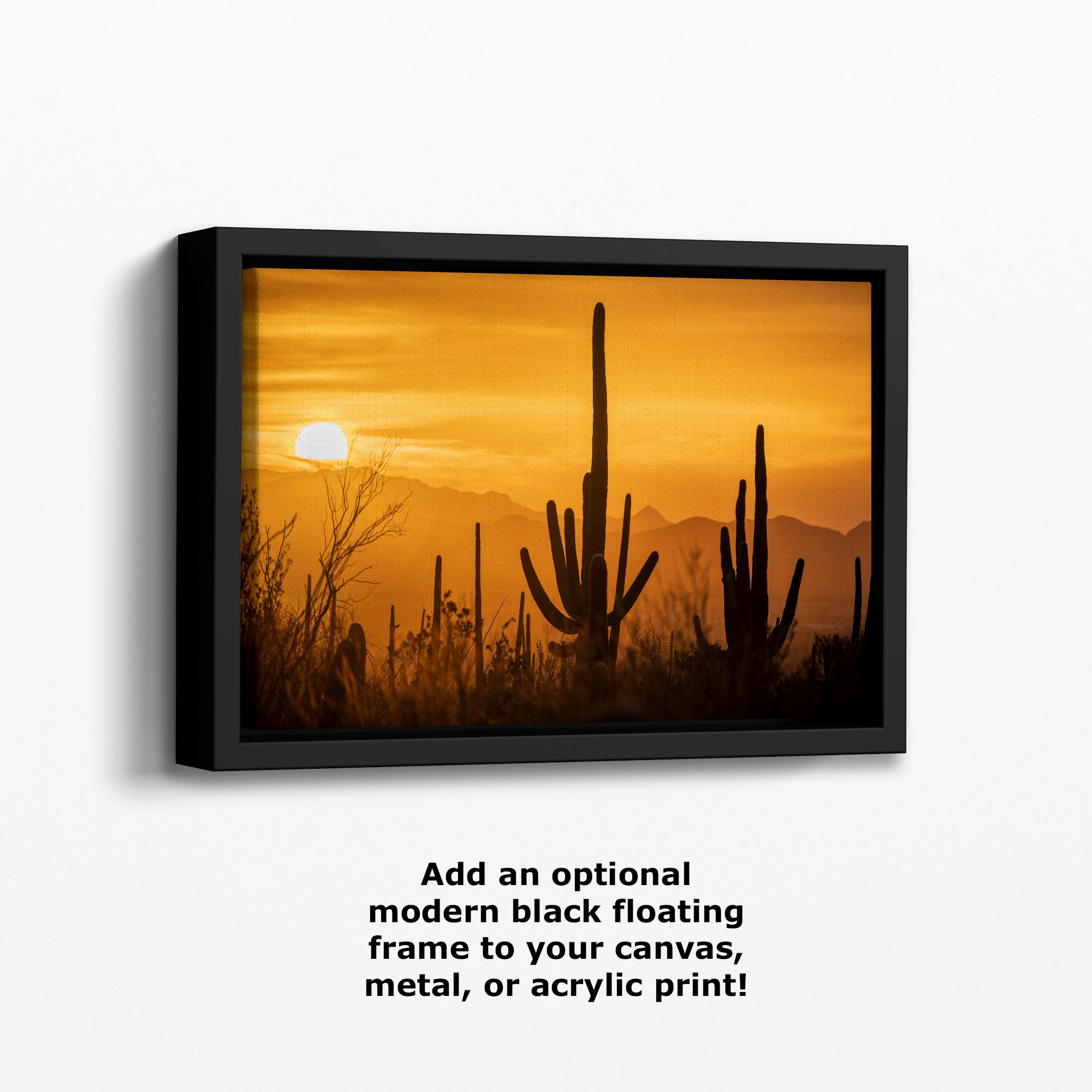 Saguaro National Park Arizona Desert Picture Nature Photo Silhouette, Bohemian Style Relaxation Artwork, Southwestern Sonoran Desert House Decor