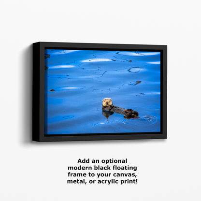 Sea Otter Picture Marine Mammal Wildlife Photography, Ocean Wall Art, Dorm Room Decor, Relaxation Artwork, Cubicle Desk Decor