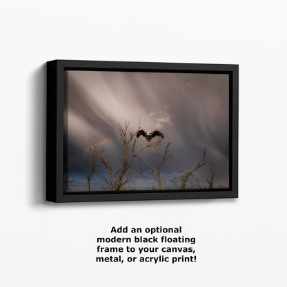 Bald Eagle Picture Wildlife Photography Wall Art, Nature Photo, Bird Photography, Rustic Cabin Decor, Office or Dorm Room Wall Decor