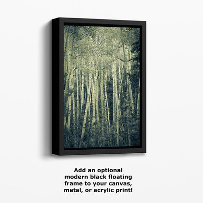 Aspen Tree Forest Picture Nature Photo, Forest Bathing Relaxation Artwork, Rustic Wall Art for Bedroom, Office, & House Decor