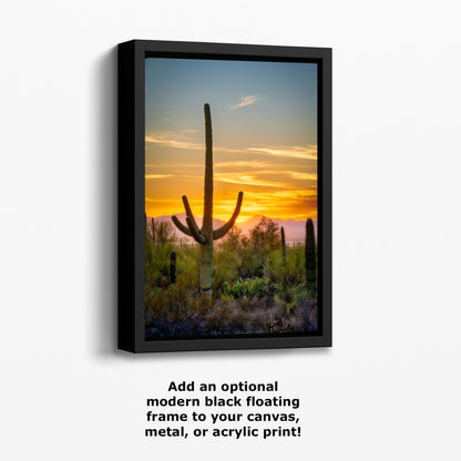 Saguaro National Park Arizona Desert Picture Nature Photo, Bohemian Style Relaxation Artwork, Southwestern Sonoran Desert House Decor