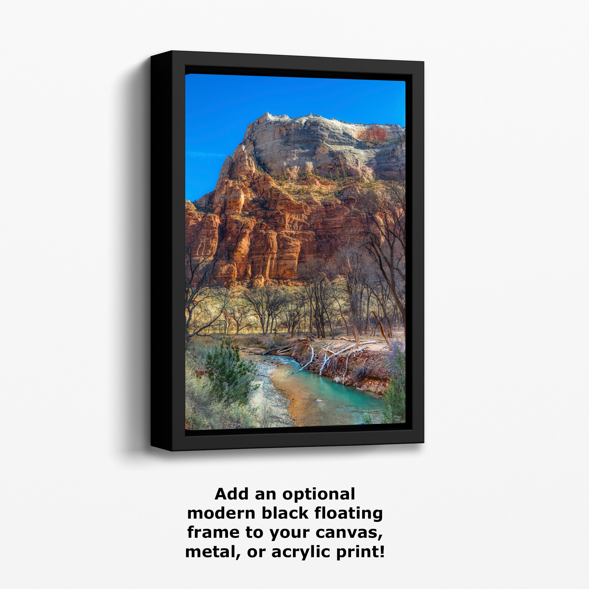Zion National Park Southern Utah Desert Picture, Southwestern Wall Art, Relaxation Artwork Nature Photo for House Decor