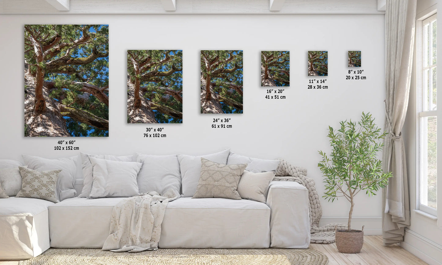 a living room with a white couch and paintings on the wall