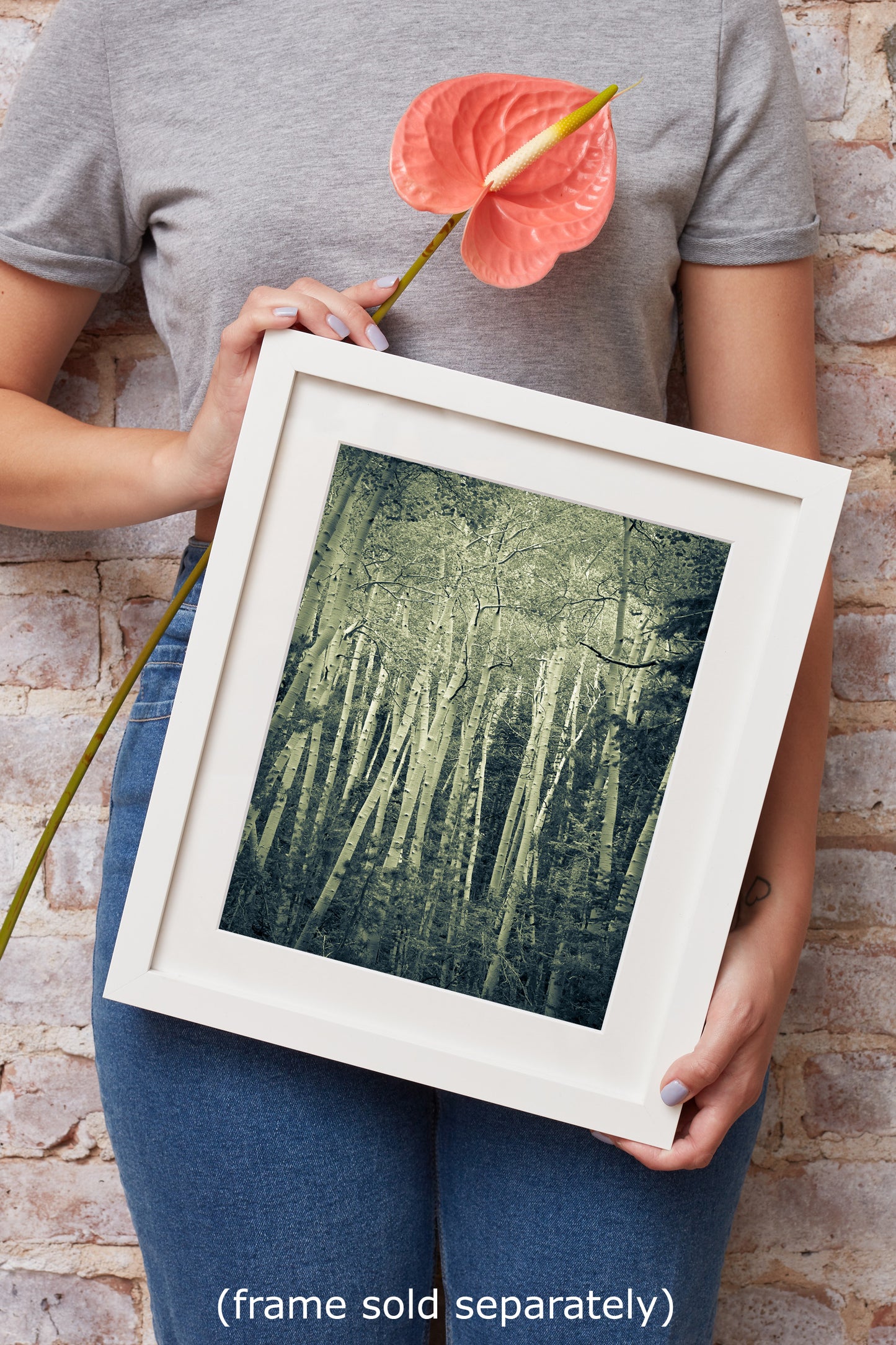 Aspen Tree Forest Picture Nature Photo, Forest Bathing Relaxation Artwork, Rustic Wall Art for Bedroom, Office, & House Decor