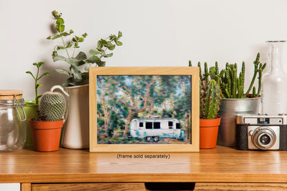 Airstream with Coast Live Oak Camping Decor