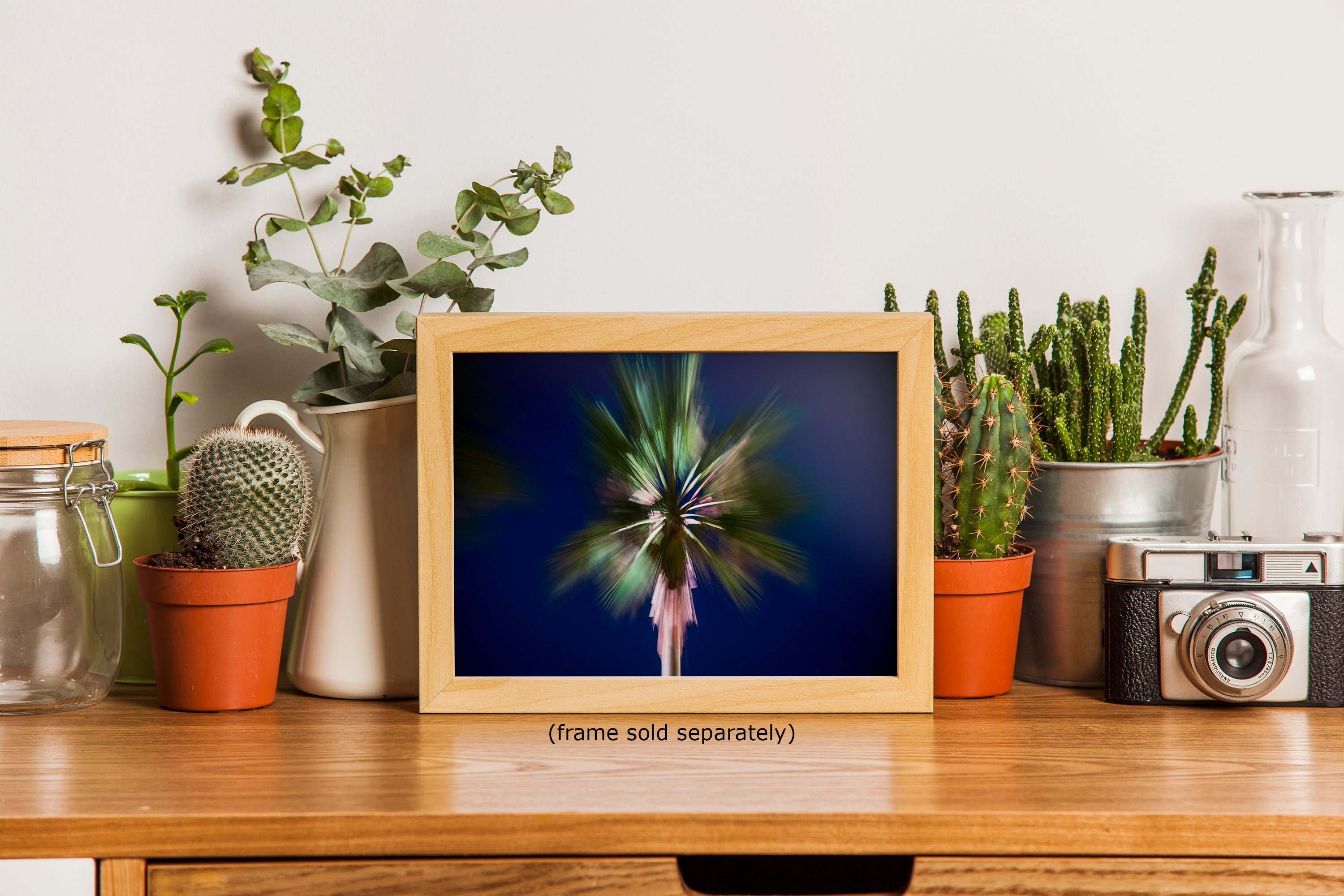 Palm Tree Forest Picture Impressionist Art Nature Photo Relaxation Artwork | Bohemian Style for Meditation, Office, & House Decor