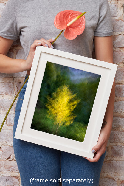 Impressionist Art Forest Picture Abstract Nature Photo, Relaxation Artwork, Forest Bathing Wall Decor, Meditation, Bohemian Style Canvas Print