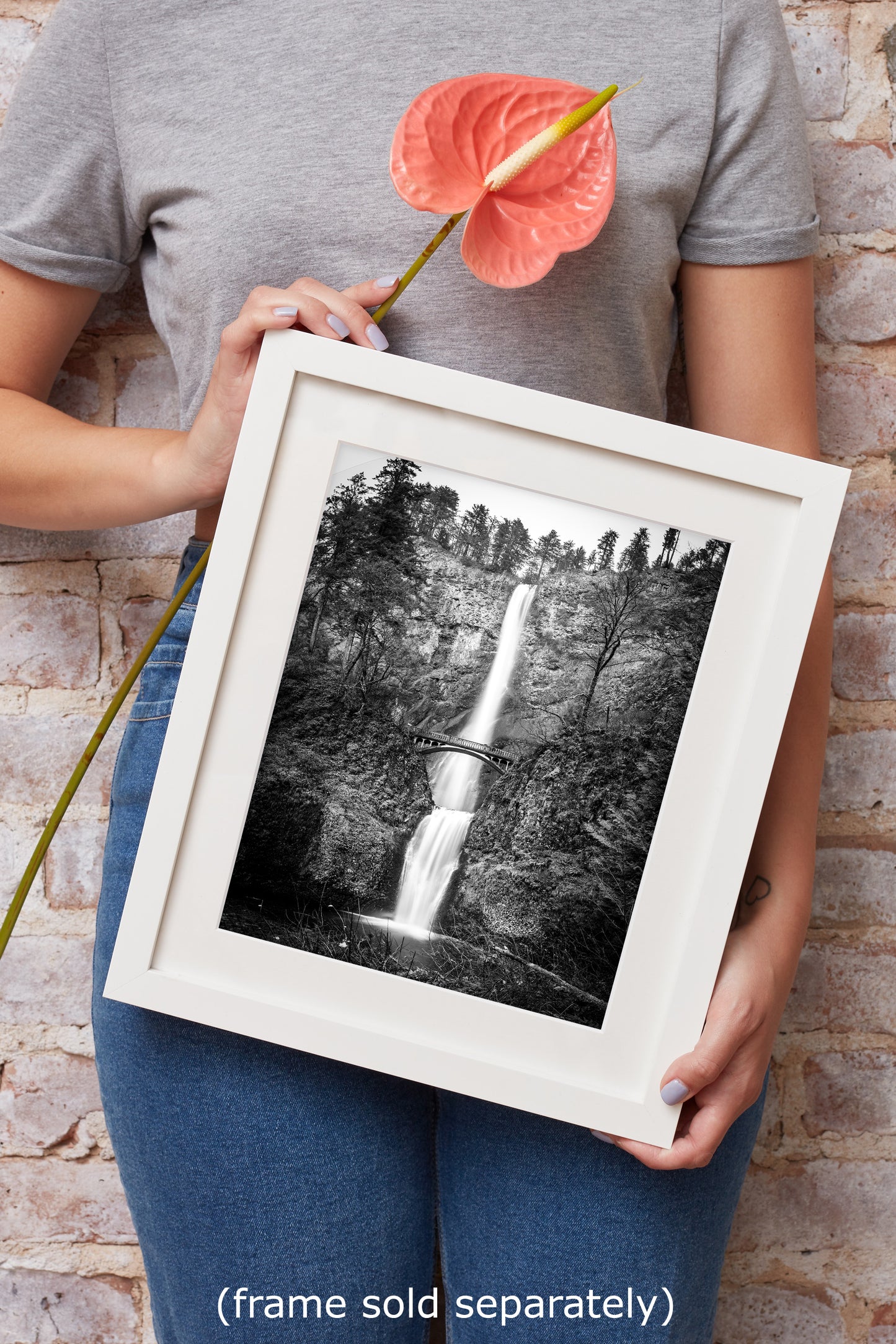 Multnomah Waterfall Picture Nature Photo, Black and White, Pacific Northwest Oregon Picture Relaxation Artwork, Columbia River Gorge for Meditation, House