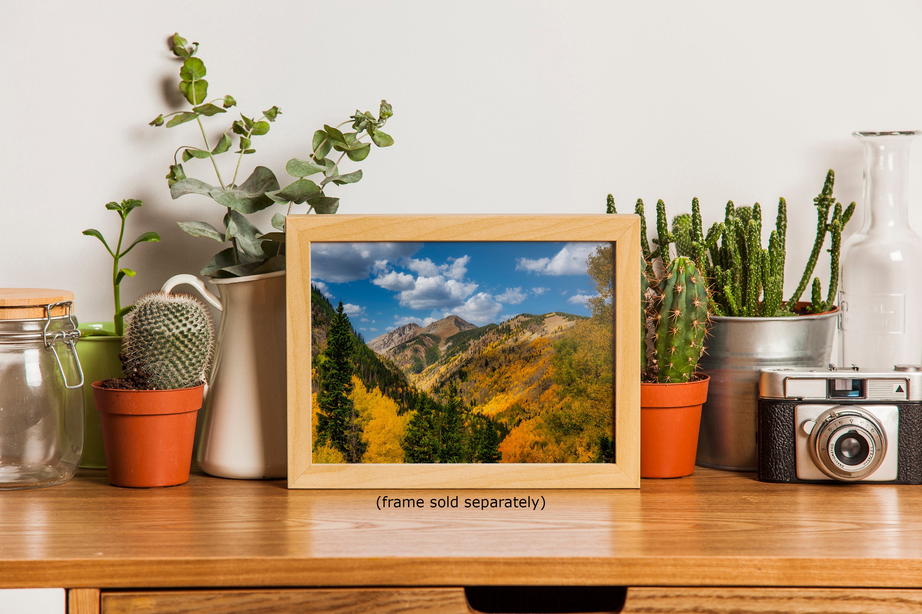 Colorado San Juan Mountains Picture, Fall Colors Nature Photo of Aspen Trees  for Relaxation Meditation and Home Decor