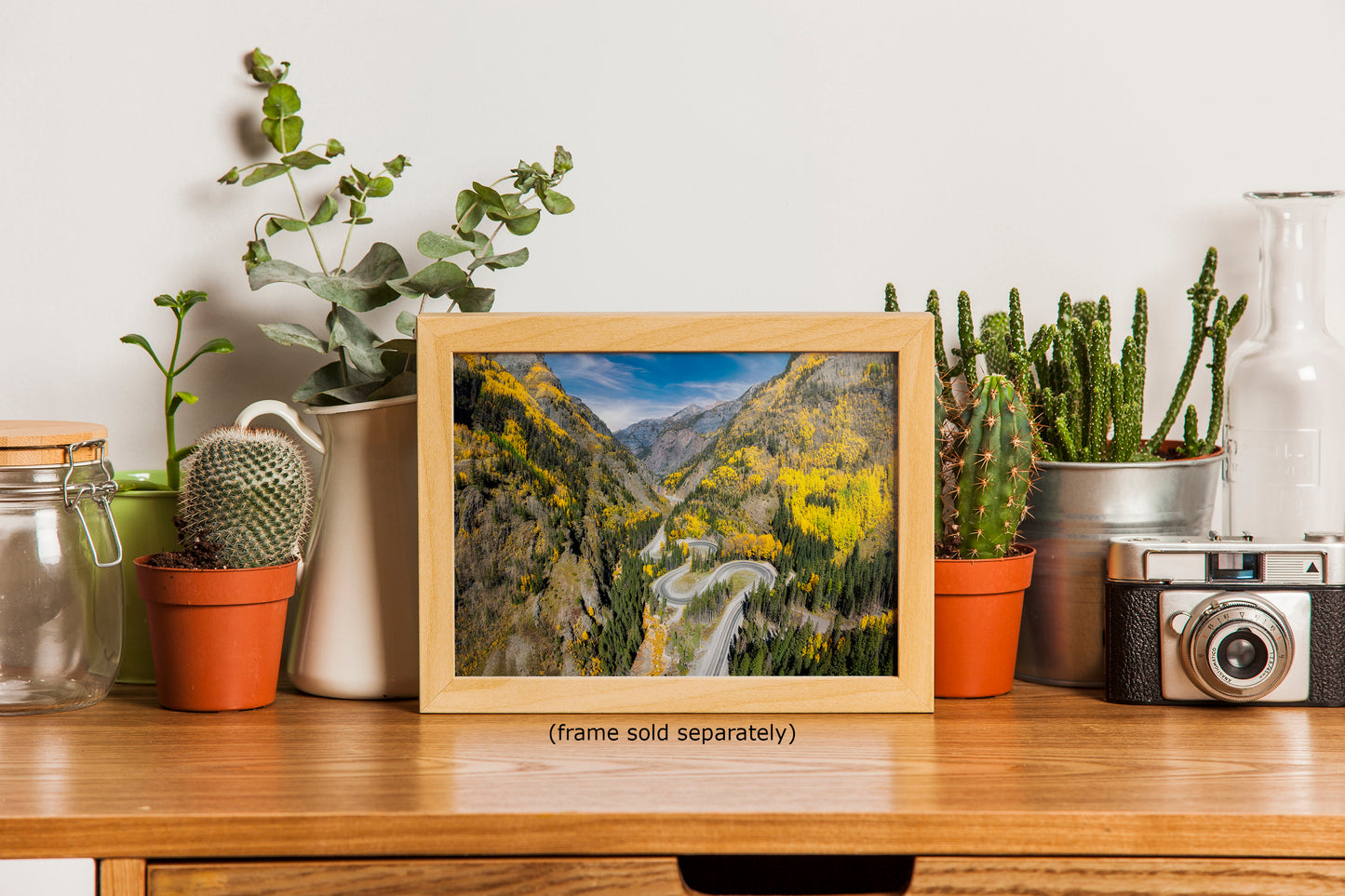 Colorado San Juan Mountain Picture, Million Dollar Highway Fall Colors Aspen Trees Forest Picture, Nature Photo for Relaxation Artwork, Meditation and House Decor