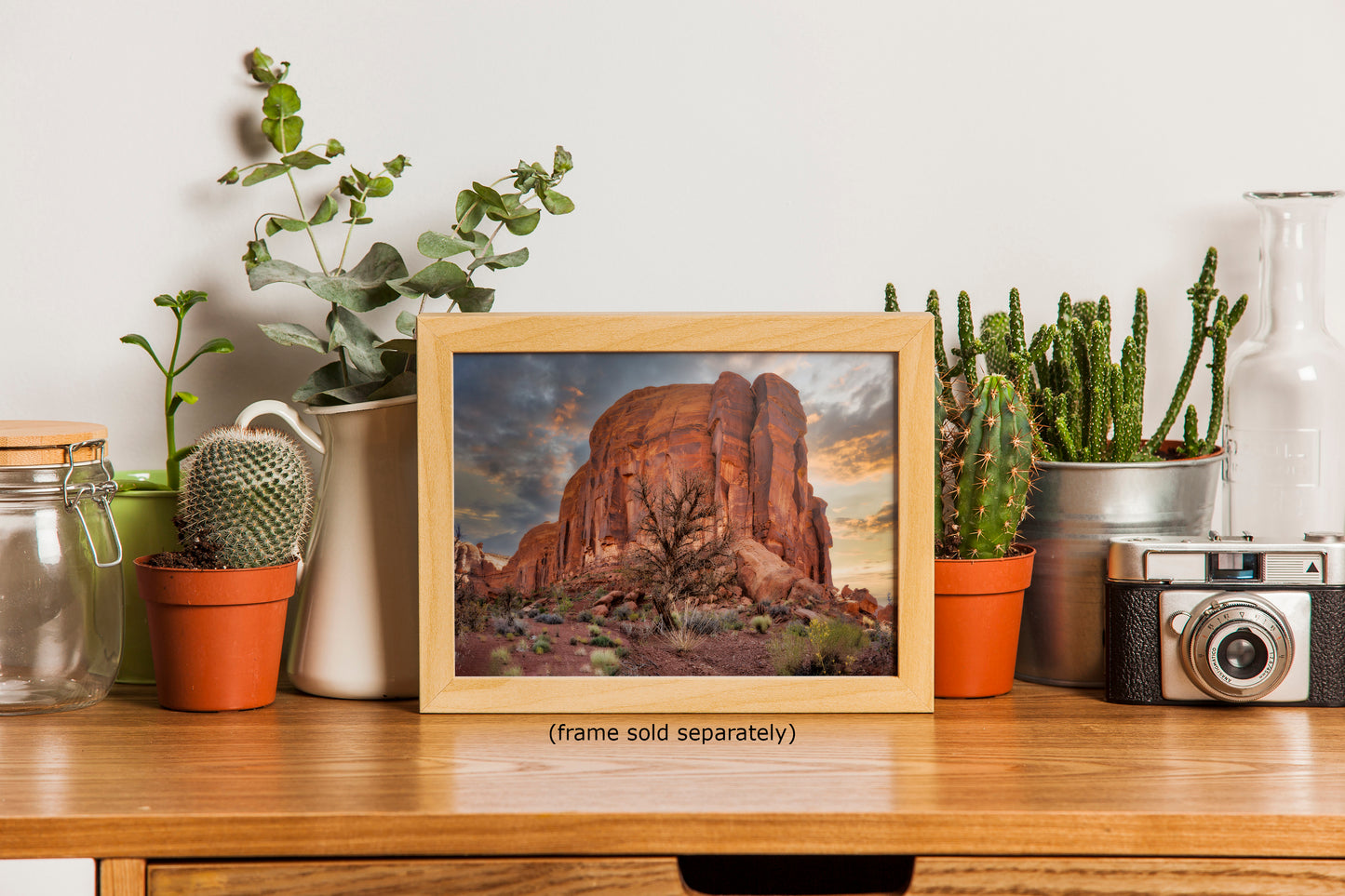 Monument Valley Arizona Desert Picture Cactus Nature Photo, Bohemian Style Relaxation Artwork for Meditation, Apartment, Office & House Decor