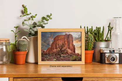Monument Valley Arizona Desert Picture Cactus Nature Photo, Bohemian Style Relaxation Artwork for Meditation, Apartment, Office & House Decor
