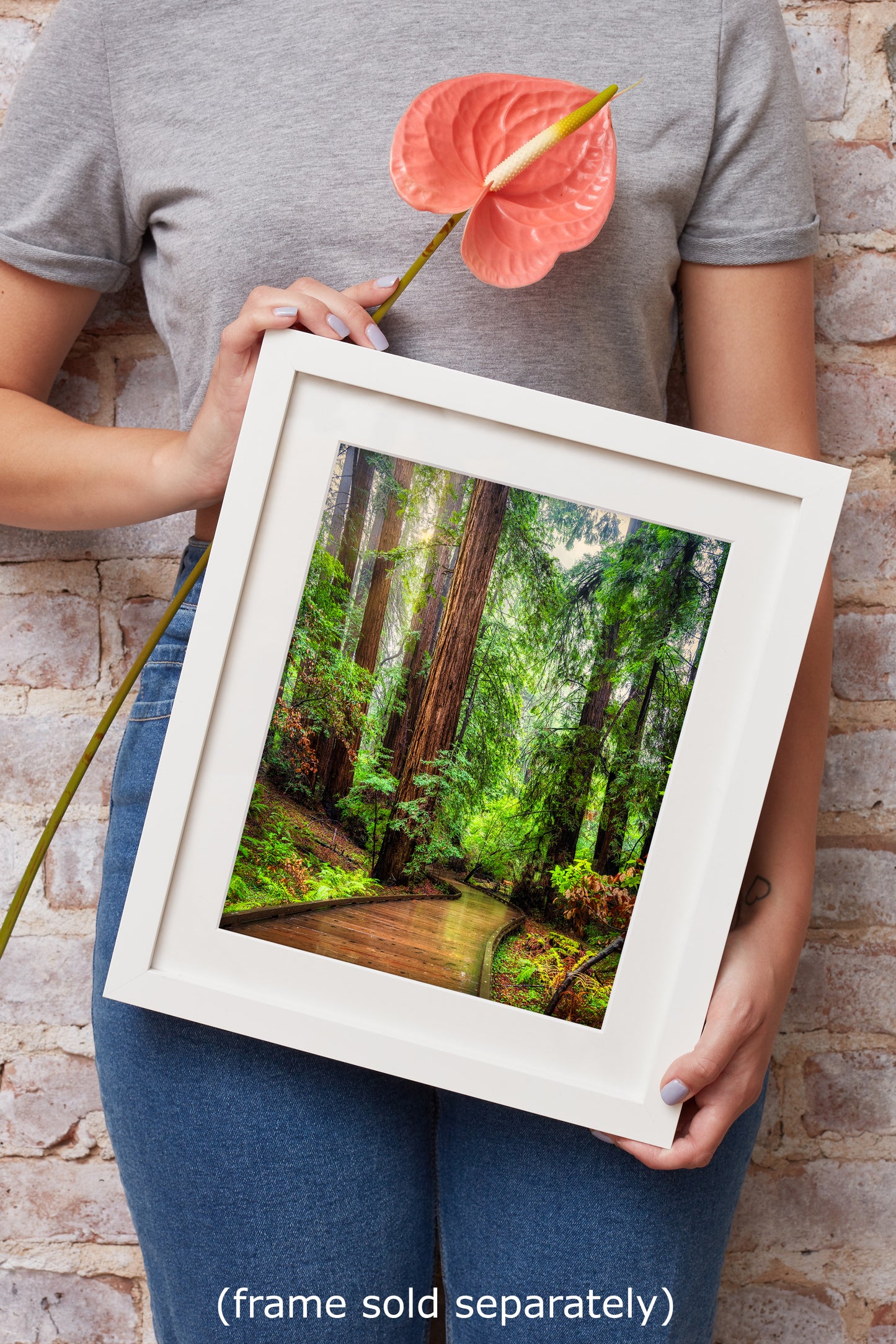 Redwood Trees Forest Picture Sunrise Nature Photo, Forest Bathing House Decor, Relaxing Wall Art for Meditation, Home and Office